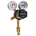 Argon Regulator Single Stage 2 Gauge 300 Bar - Hurstbourne Forge Welding Supplies